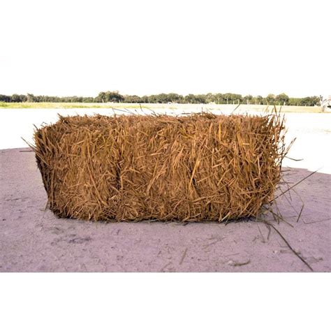 May 14, 2023. . Lowes straw bale